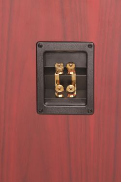 Click Here To Enlarge This Photo Of Icon Audio