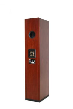 Click Here To Enlarge This Photo Of Icon Audio