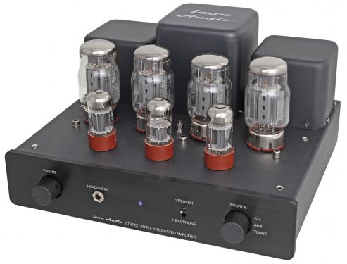 Click Here To Enlarge This Photo Of Icon Audio